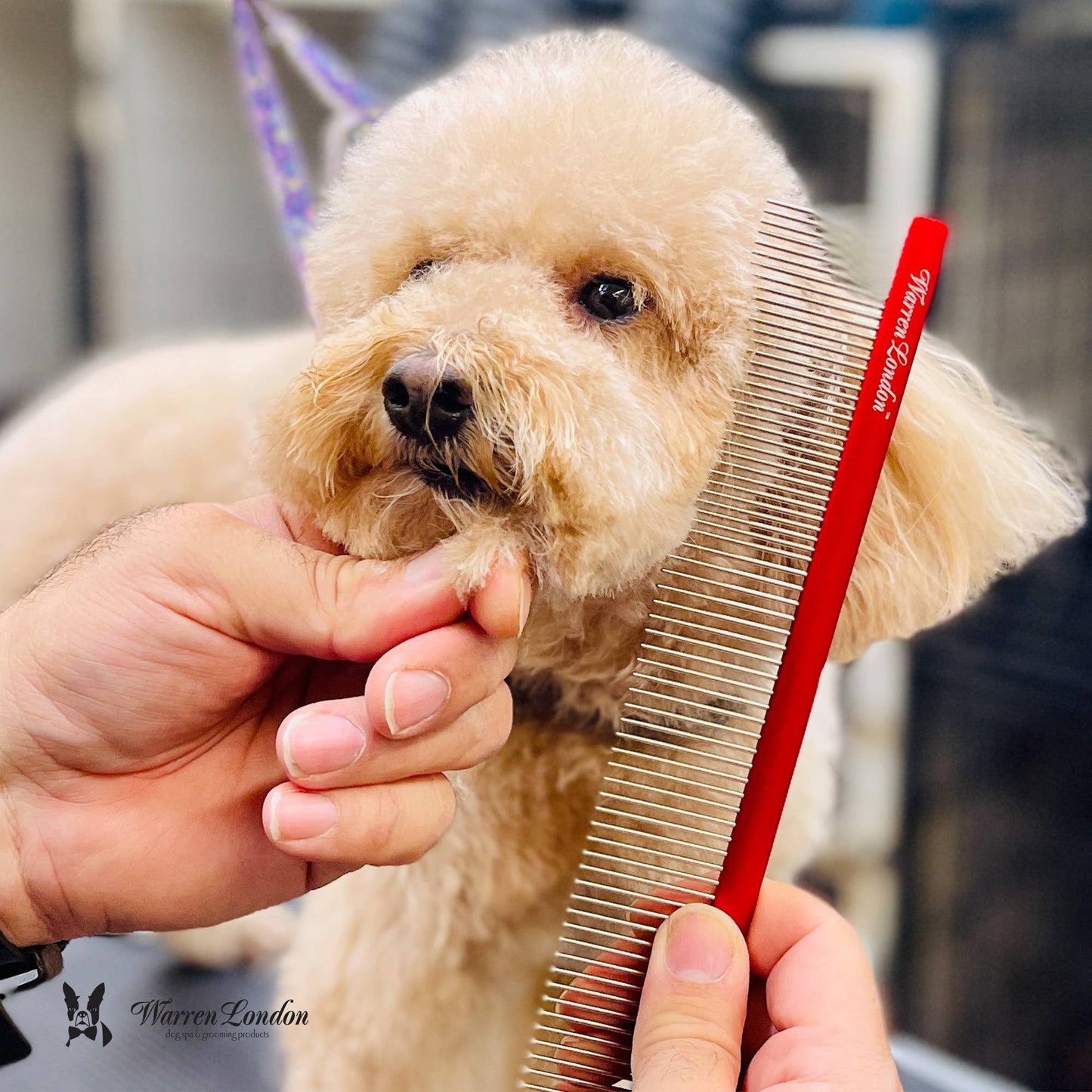 Warren London Dog Products - Detangling Comb for Dogs - 10" Strong and Durable Grooming Image
