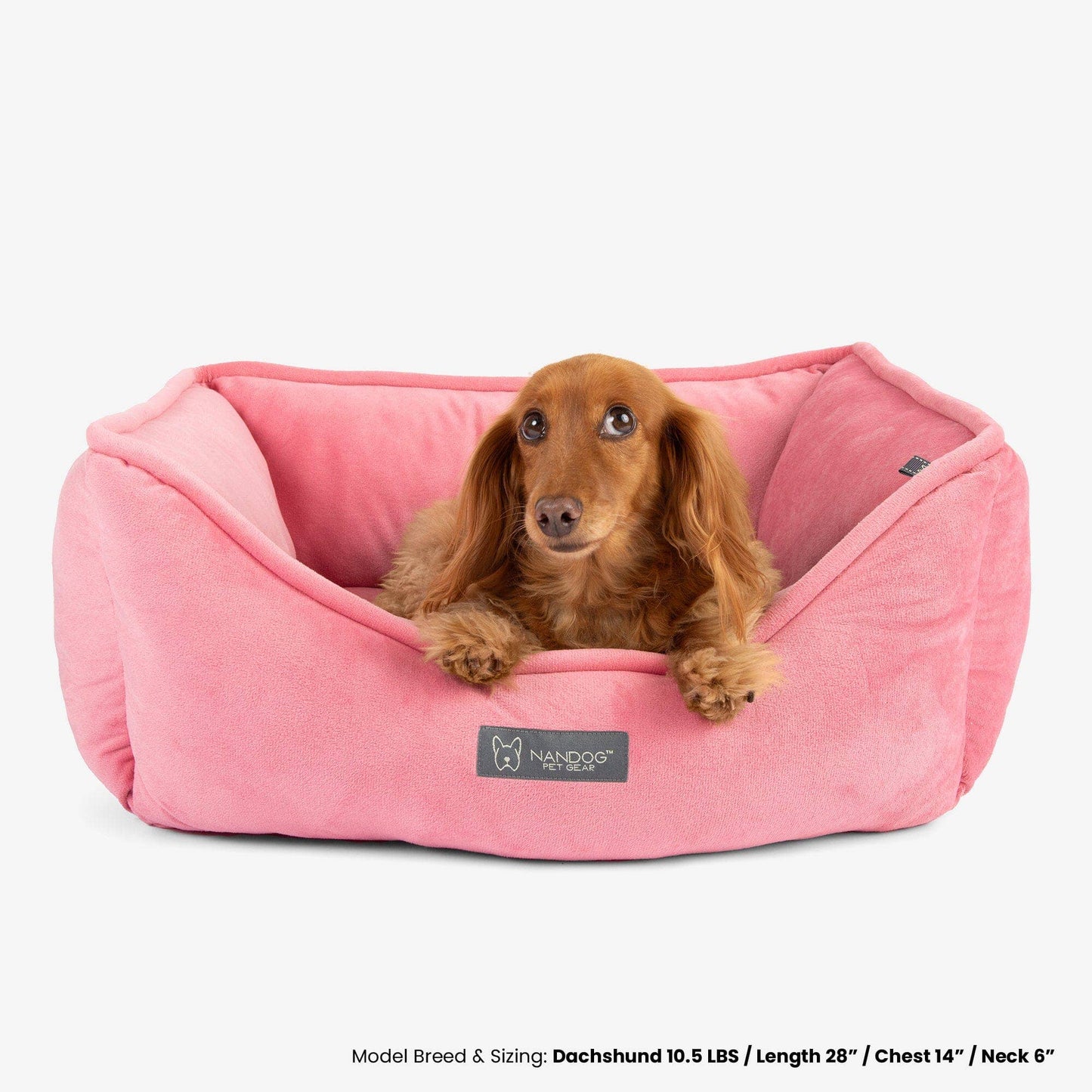 Nandog Pet Gear - Signature Bed in Electric Pink Image
