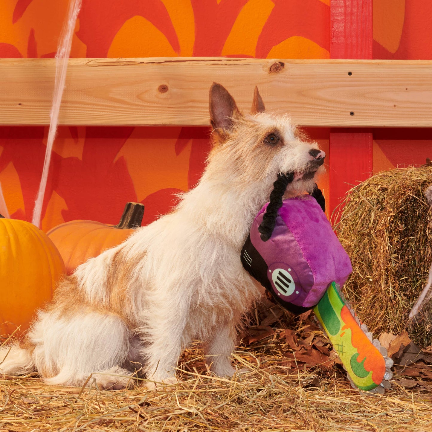 BARK Texas Chainspaw Plush Dog Toy Image