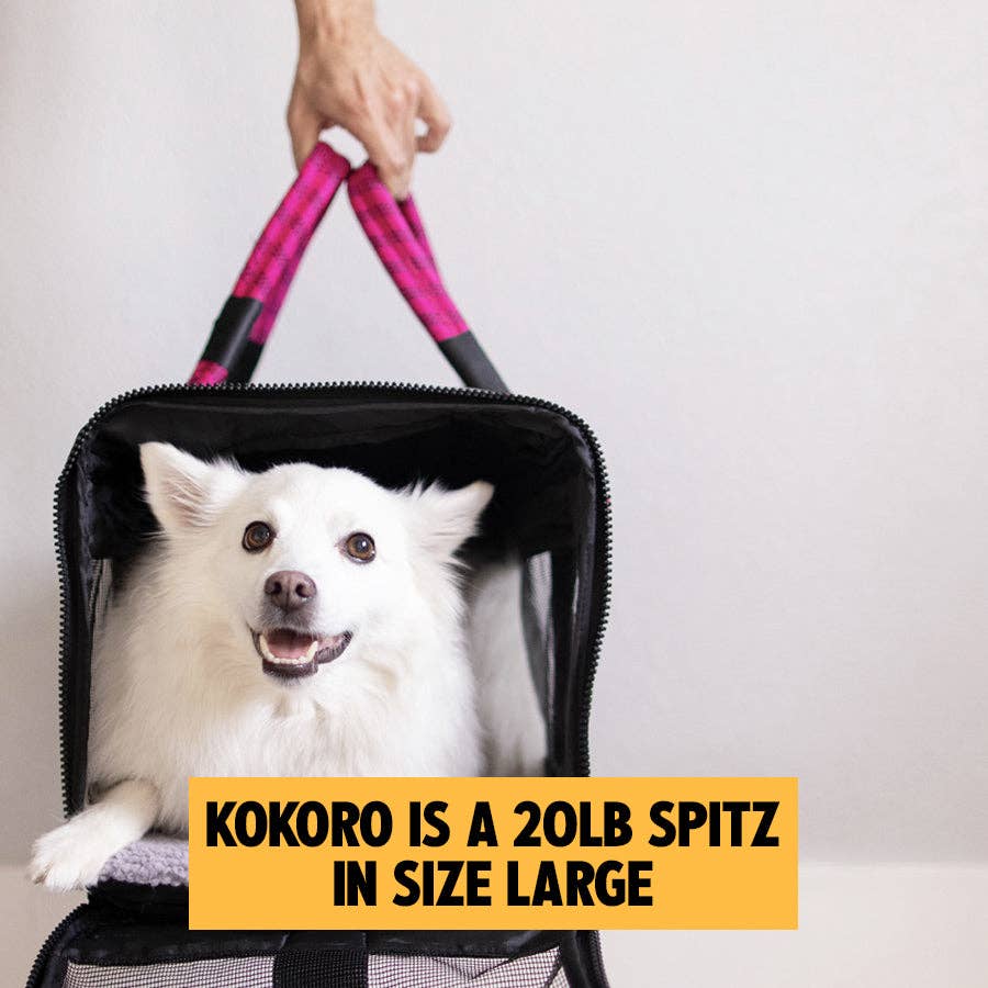 ROVERLUND - OUT-OF-OFFICE PET CARRIER PRO EDITION