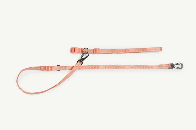 maxbone - GO! With Ease Hands-Free Leash for Dogs Image