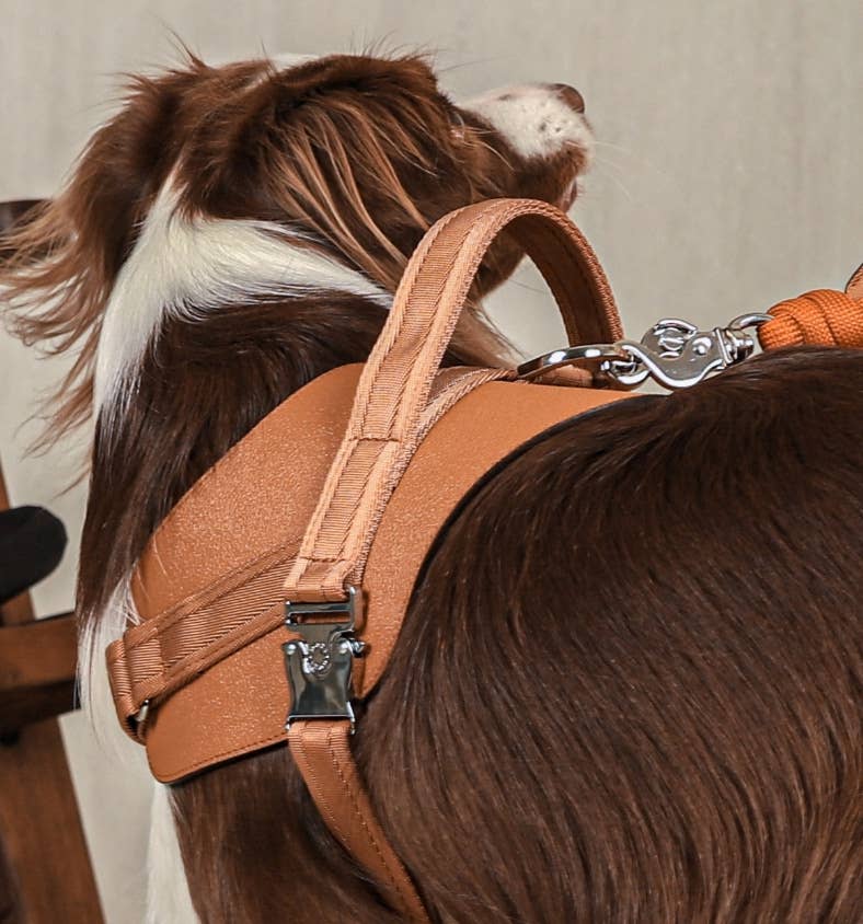Hozi - Saddle Harness - Camel Image
