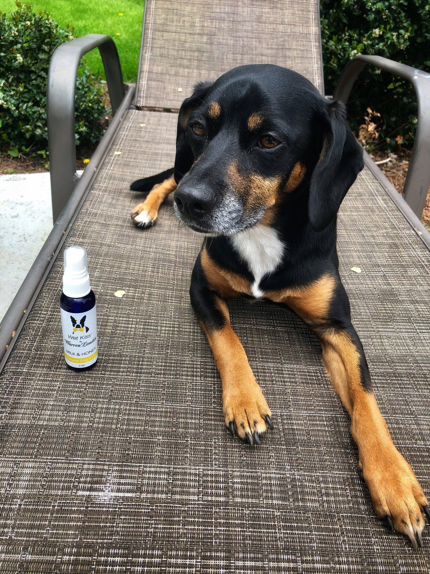 Warren London Dog Products - Wet Kiss Dog Cologne - 2 oz Image