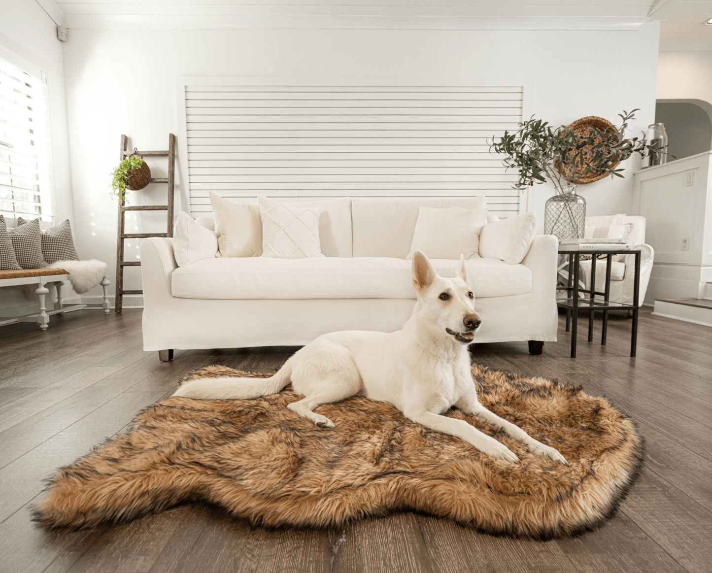 Paw Brands - PupRug by Paw.com™ Faux Fur Orthopedic Dog Bed - Curve Sable Tan Image