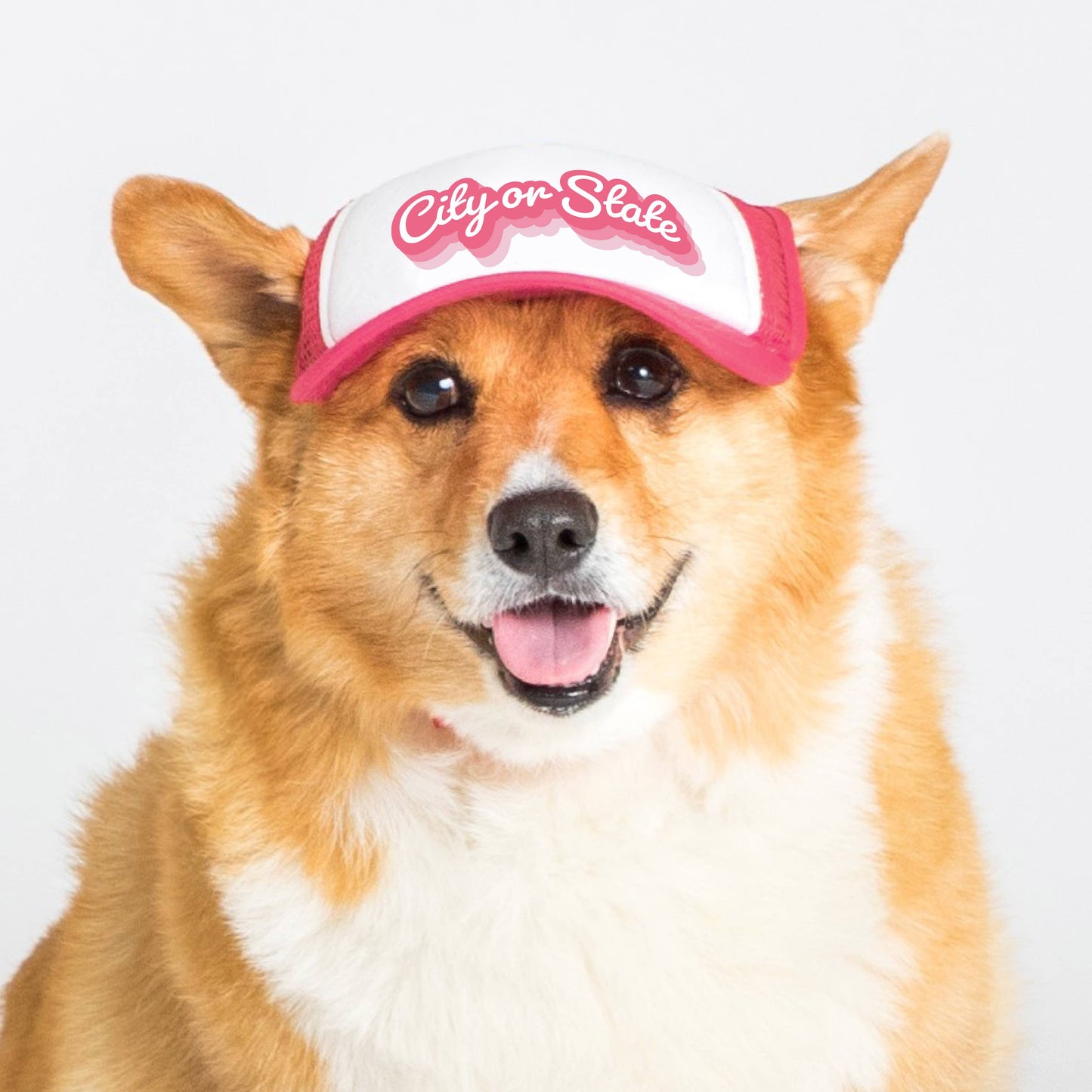 PupLid - Custom Retro Text | Trucker Hat for Dogs Image