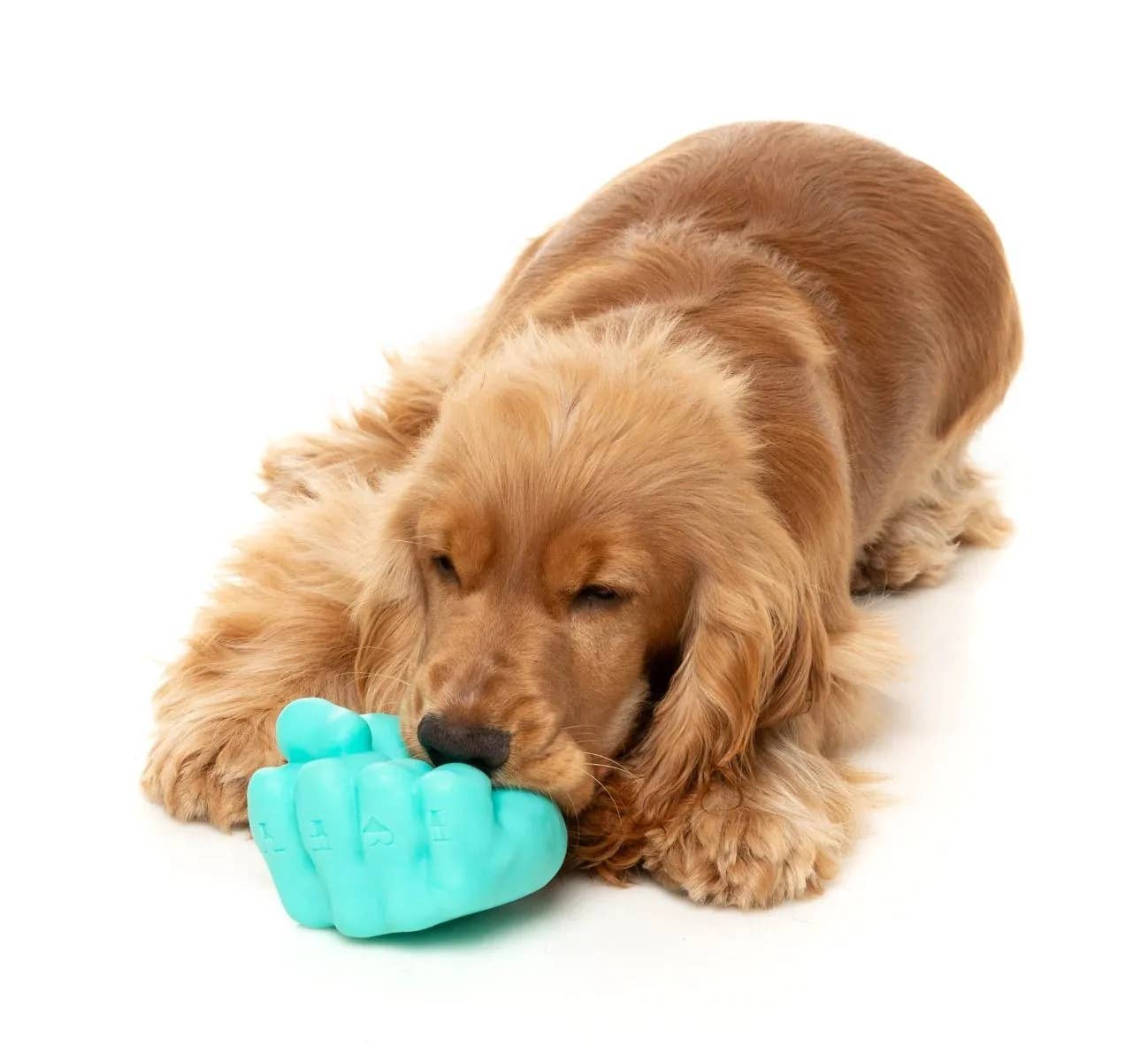 FuzzYard Knuckle Sandwich Dog Chew Toy Image