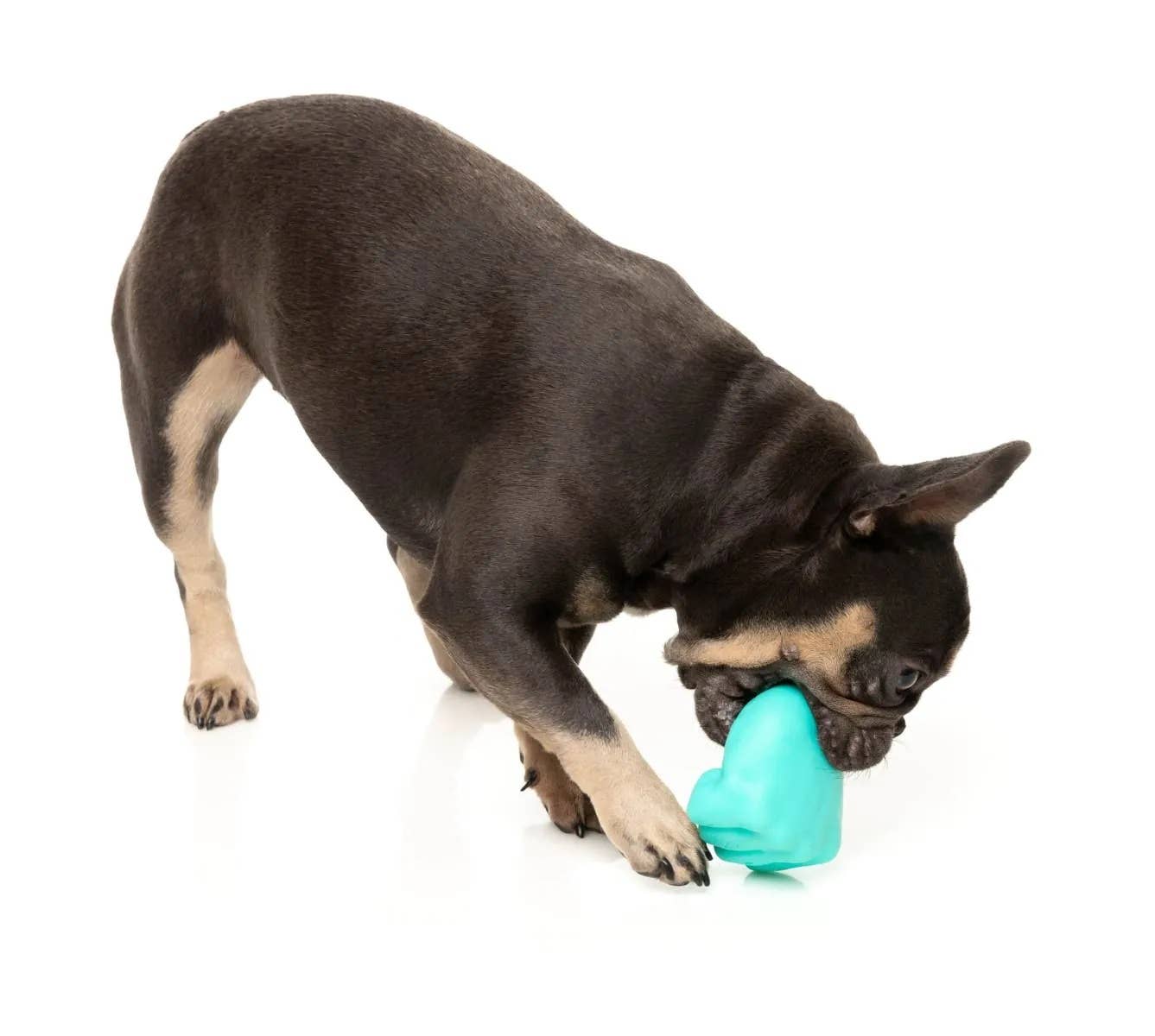 FuzzYard Knuckle Sandwich Dog Chew Toy Image