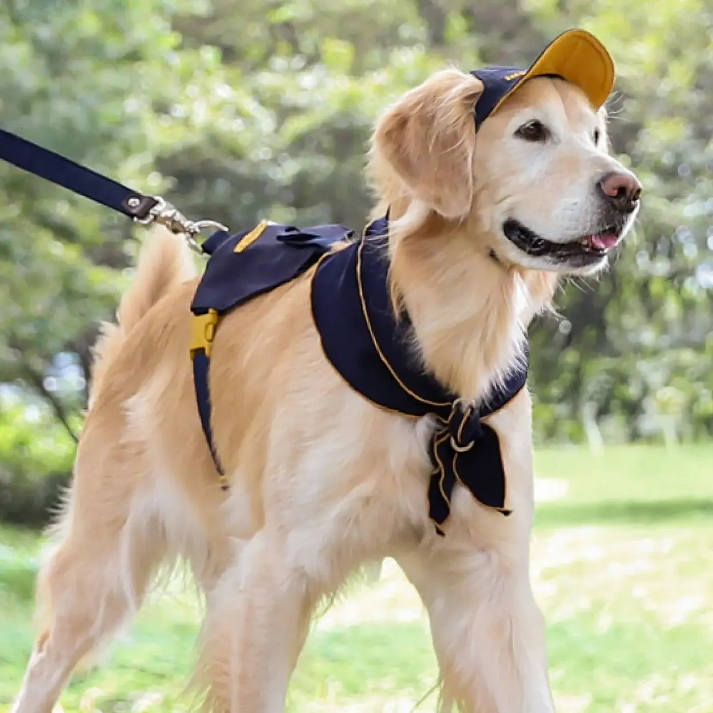 Hozi - Doggie Scarf : Navy Image