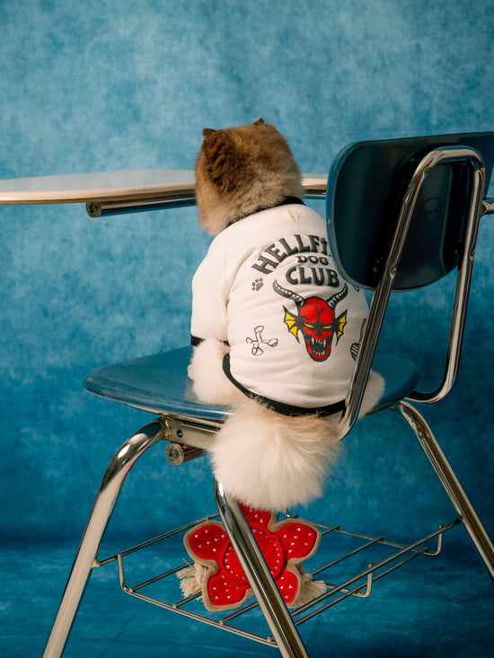 maxbone - Stranger Things x maxbone Hellfire Dog T-Shirt