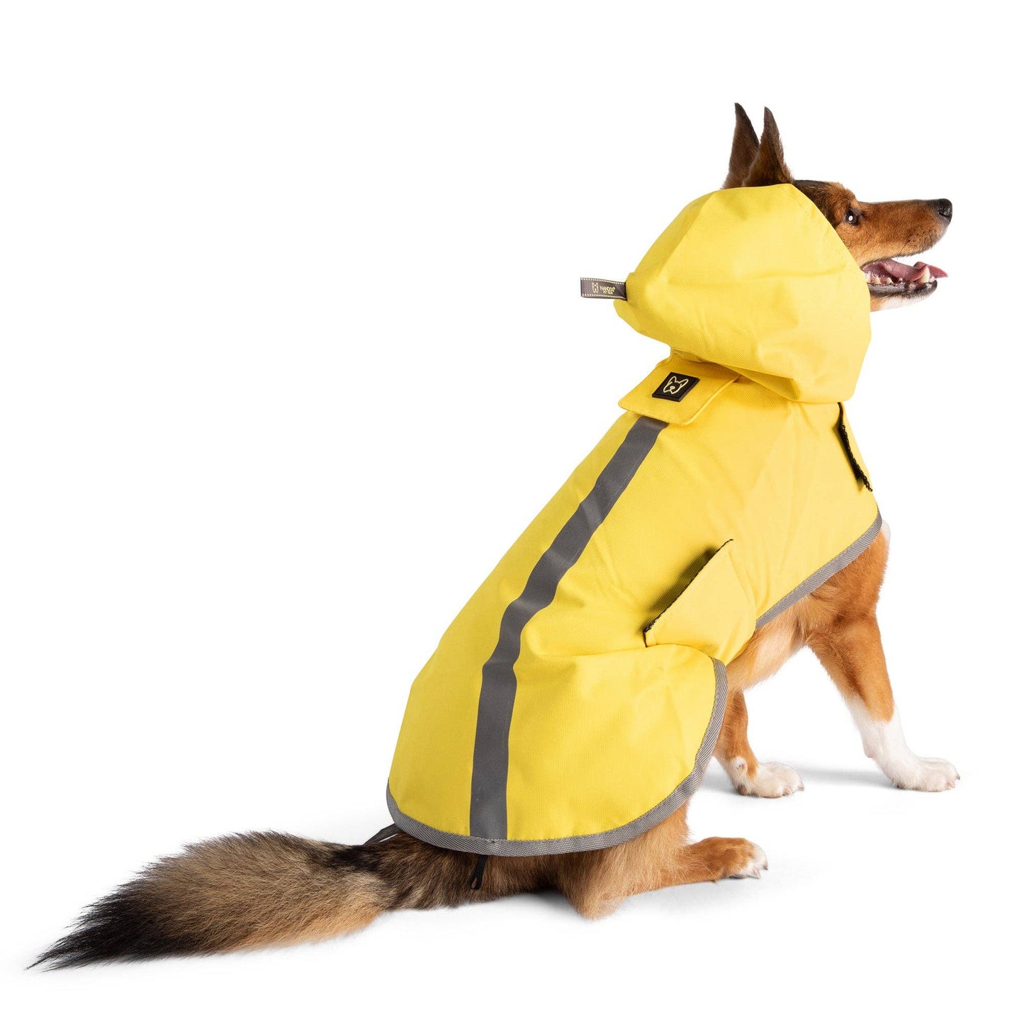 Nandog Pet Gear - Rain Coat Nandog Sport Collection: L  Image