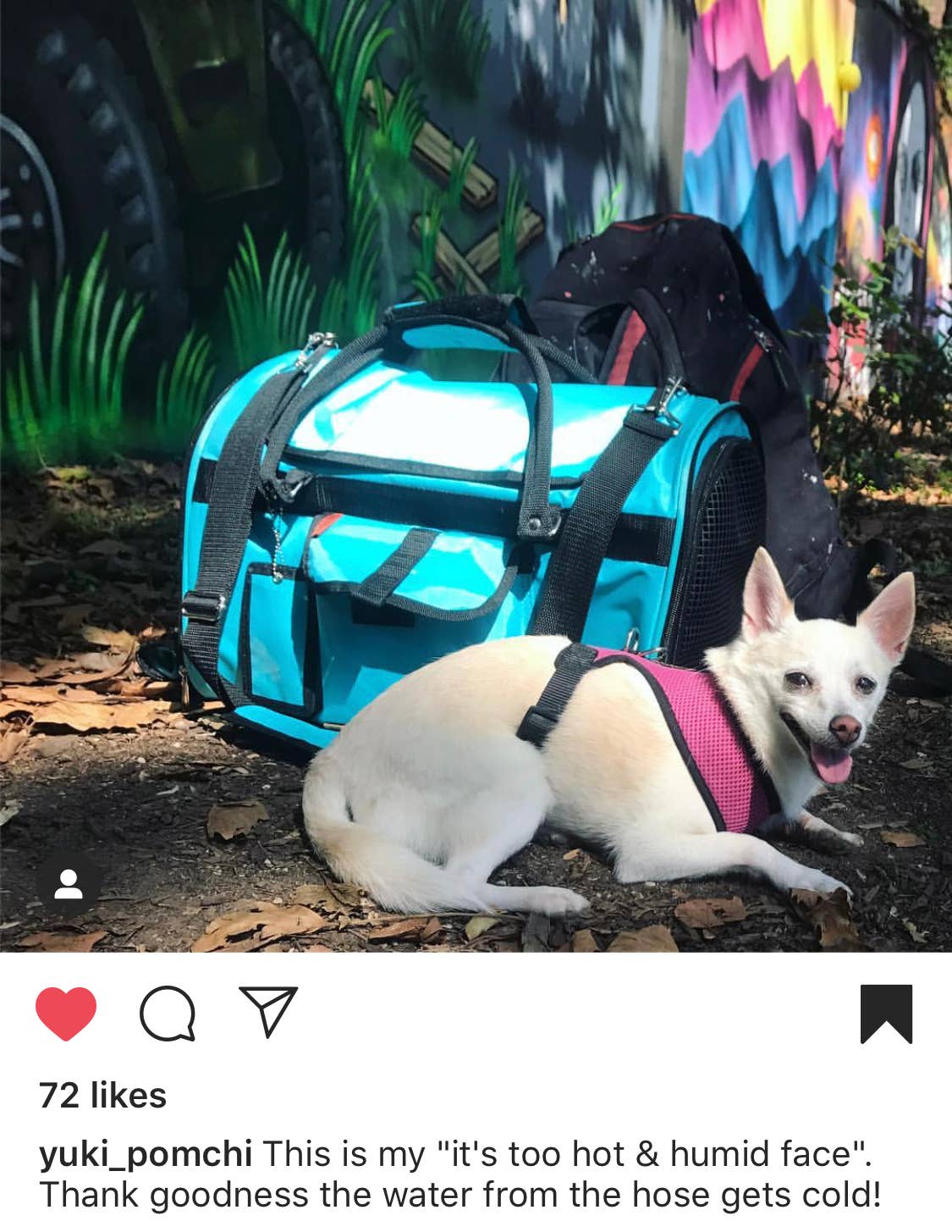 Prefer Pets Travel Gear - Hideaway Duffel - Aqua Image