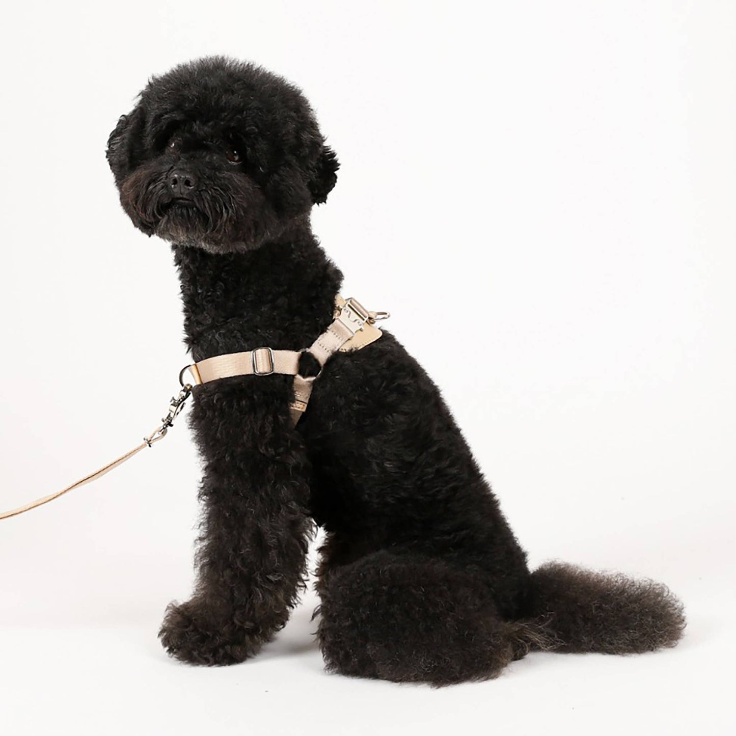 Hozi - Horsebit Harness : Beige Image