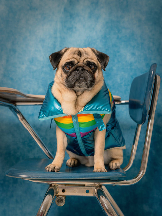 maxbone - Stranger Things x maxbone WSQK Puffer Vest