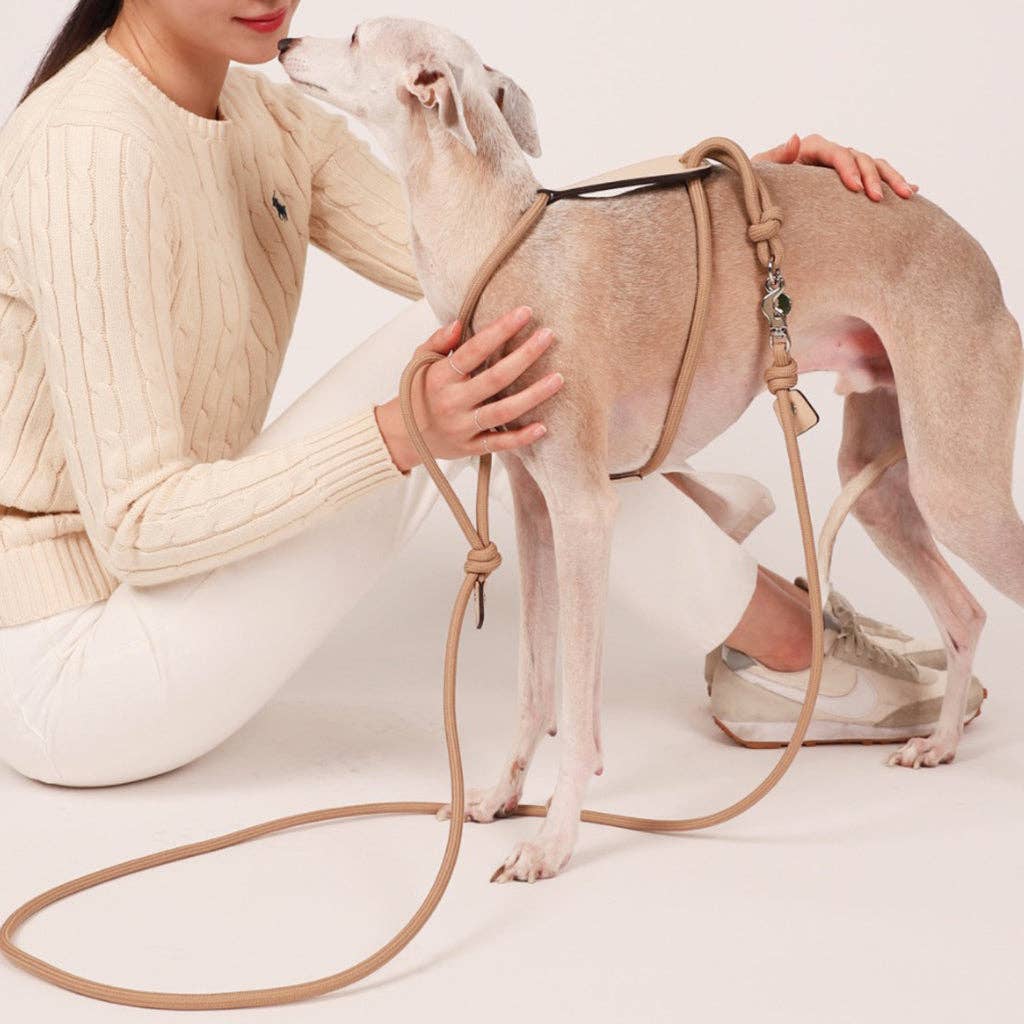 Hozi - [NEW] Essential Leash - Beige Image