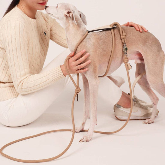 Hozi - [NEW] Essential Leash - Beige Image