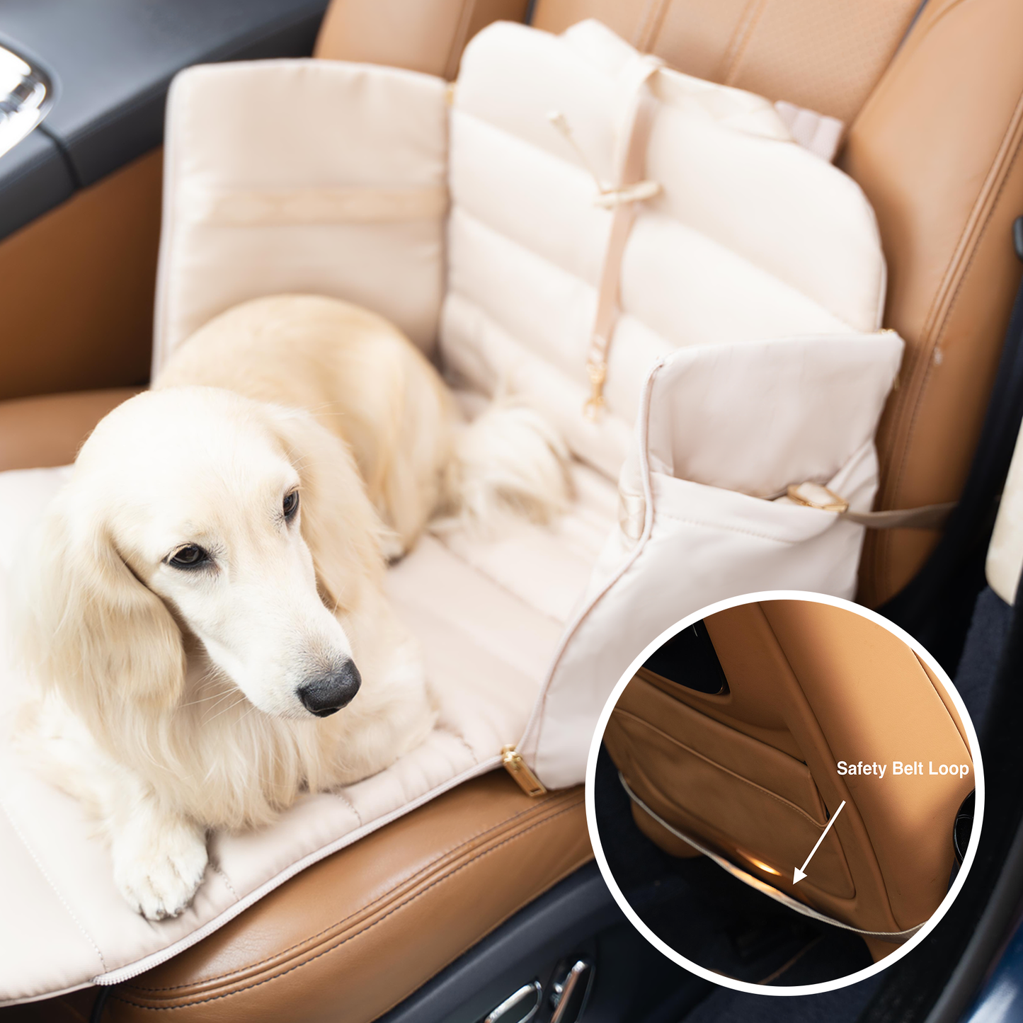 Pups & Bubs - Everywhere Convertible Tote Bag | Dog Carrier | 2 Colors Image