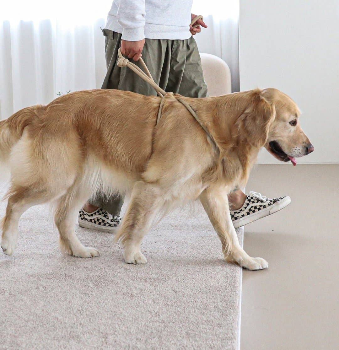 Hozi - All-in-one Harness : Beige Image