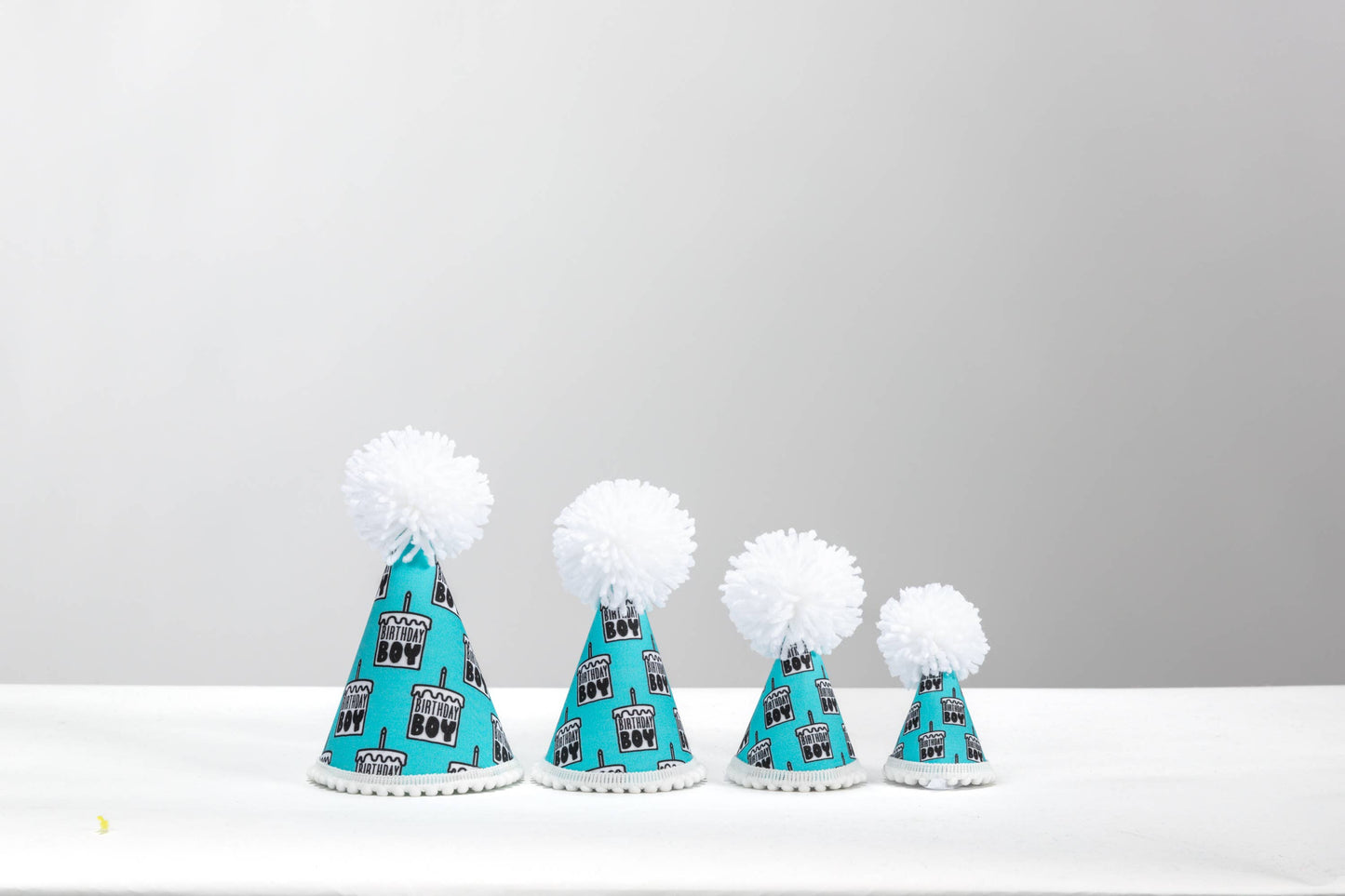 Pup Party Hats - NEW Birthday Boy Black Ink Party Hat