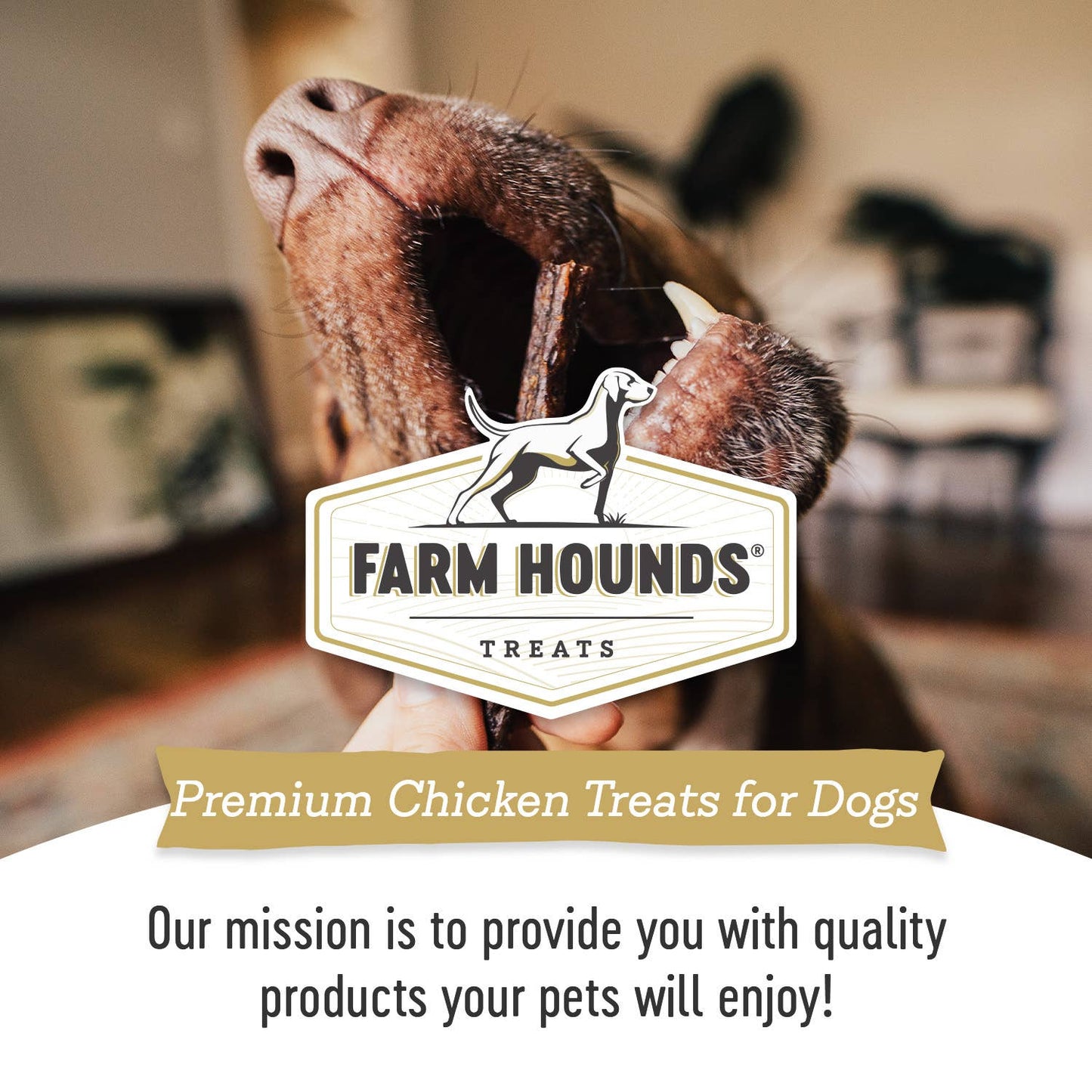 Farm Hounds - Chicken Gizzard Trainer - All-Natural Dog Treats - 4oz Image