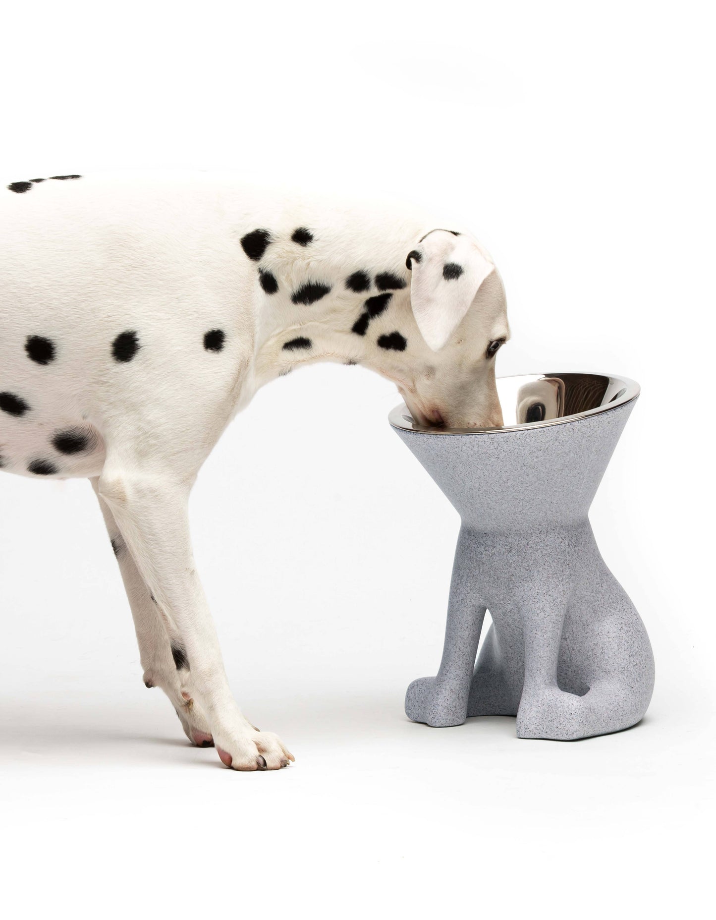 United Pets - Elizabeth: raised dog bowl