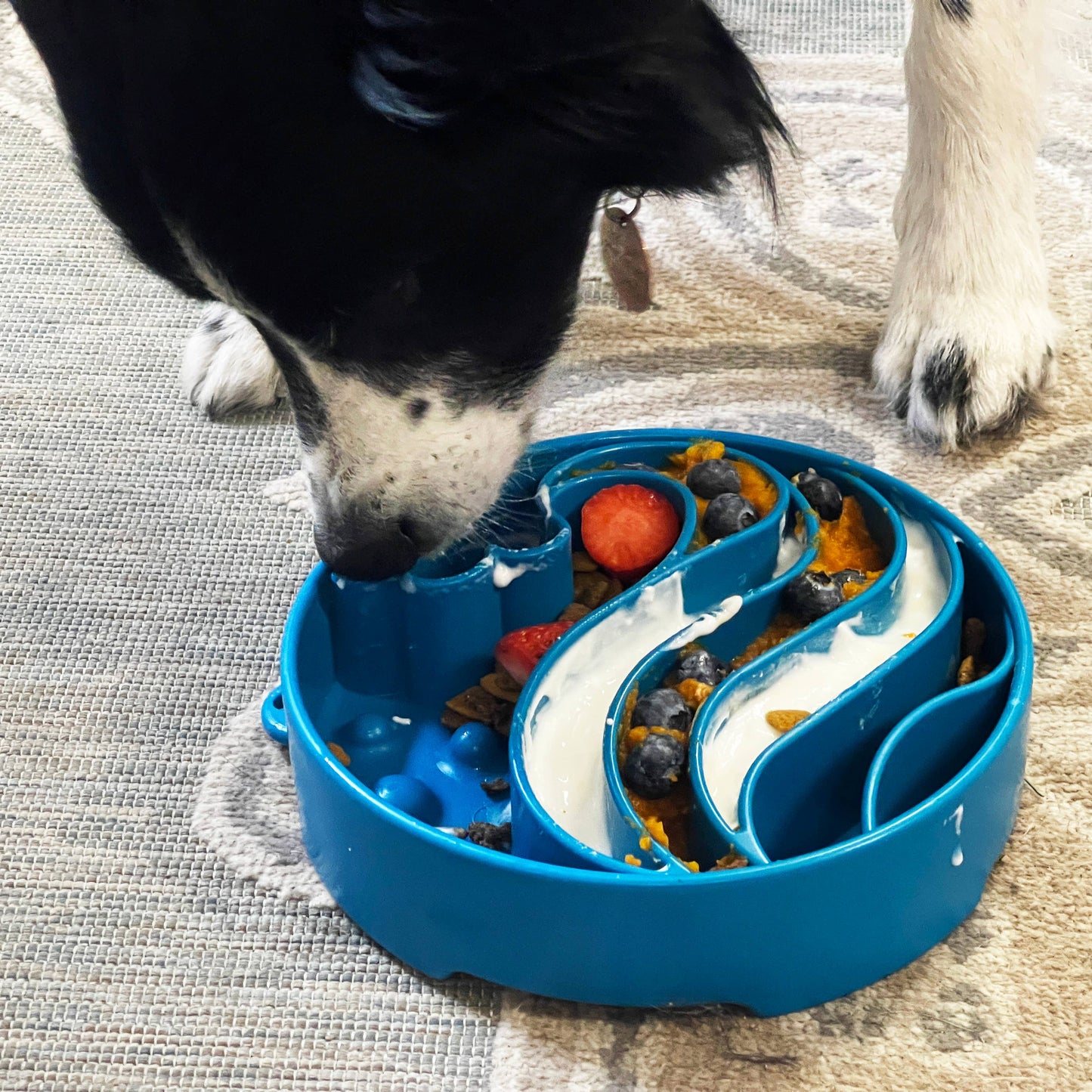 SodaPup Dog Toys - Wave Design eBowl Enrichment Slow Feeder Bowl for Dogs Image