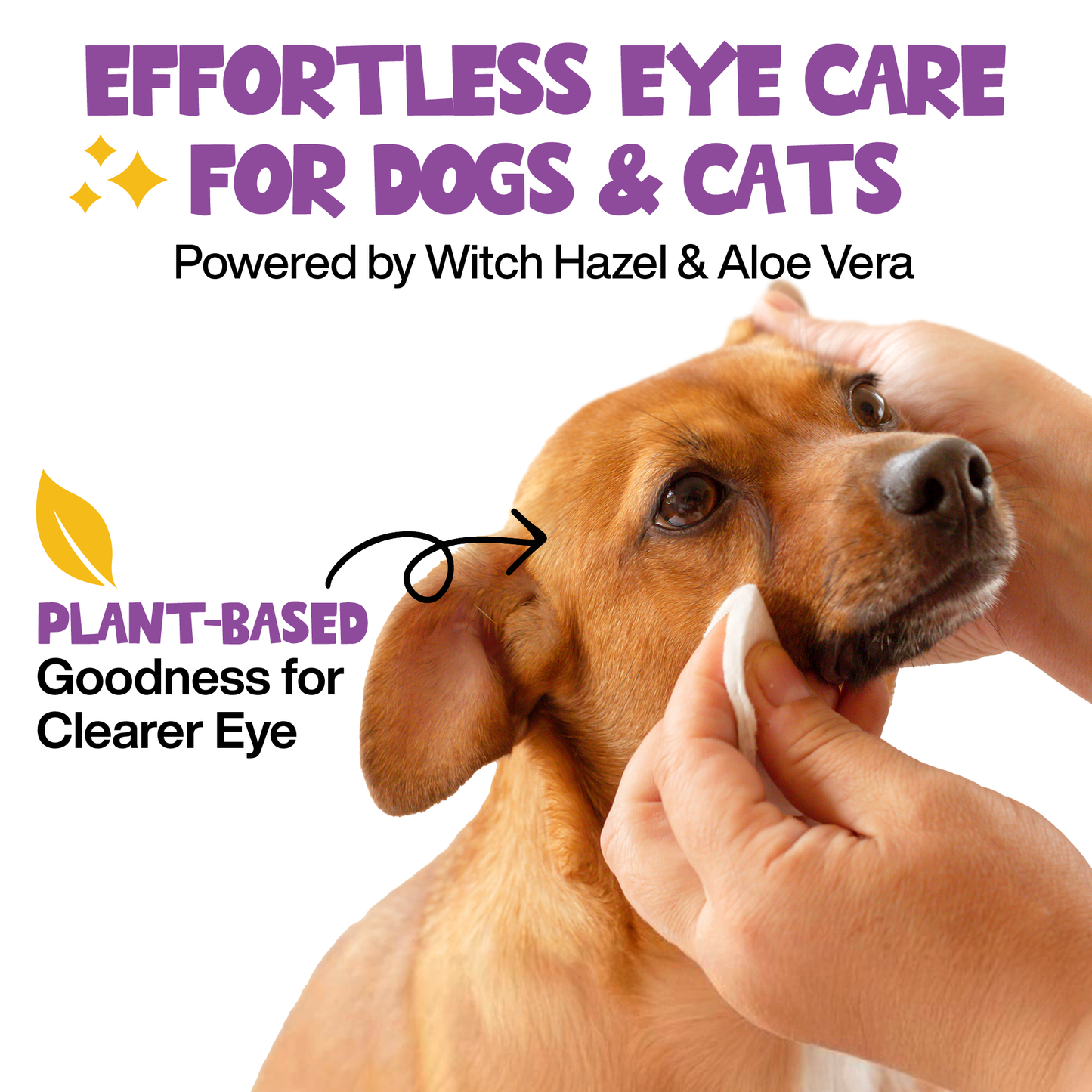 Roofus - Roofus Dog Eye Wipes | Fragrance Free | 100ct Image
