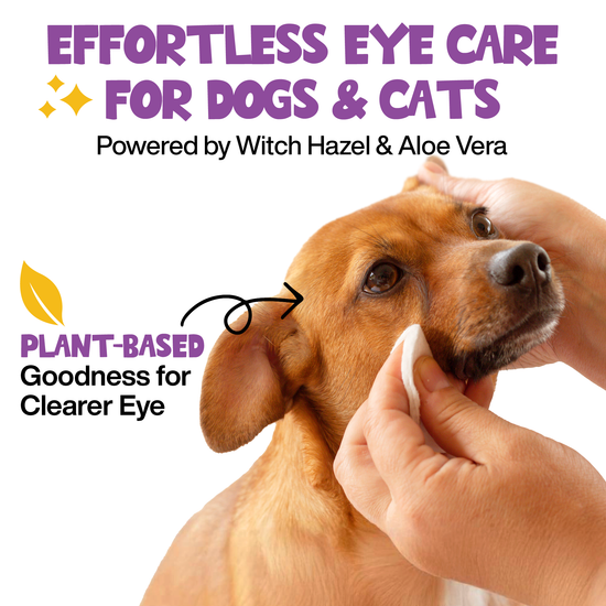 Roofus - Roofus Dog Eye Wipes | Fragrance Free | 100ct Image