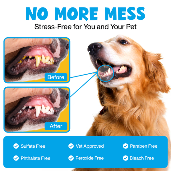 Roofus - Roofus Dental Wipes | Mint | 60ct Image