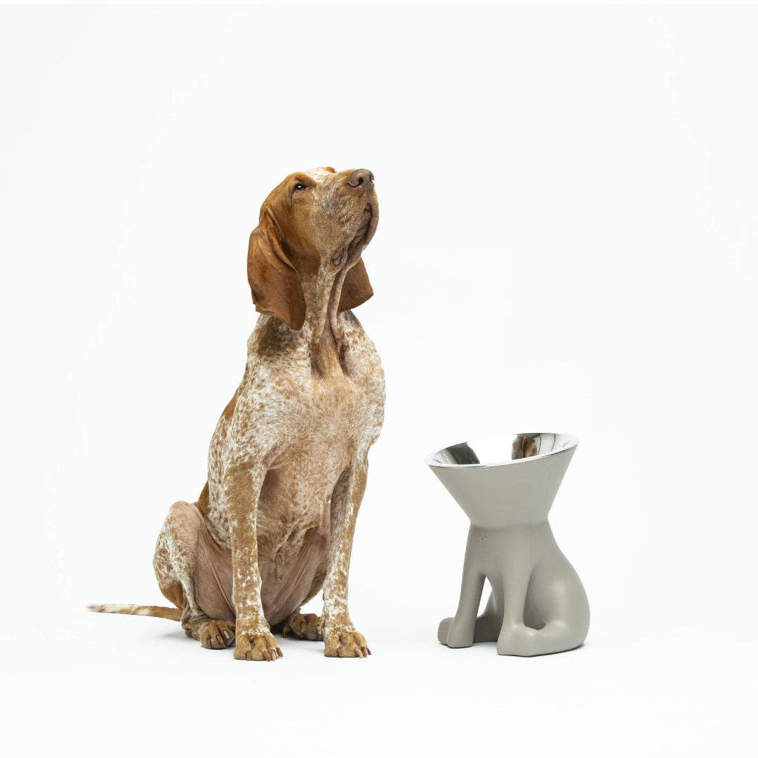 Puppy Gallery - ELIZABETH - The Queen of Dog Bowl Image