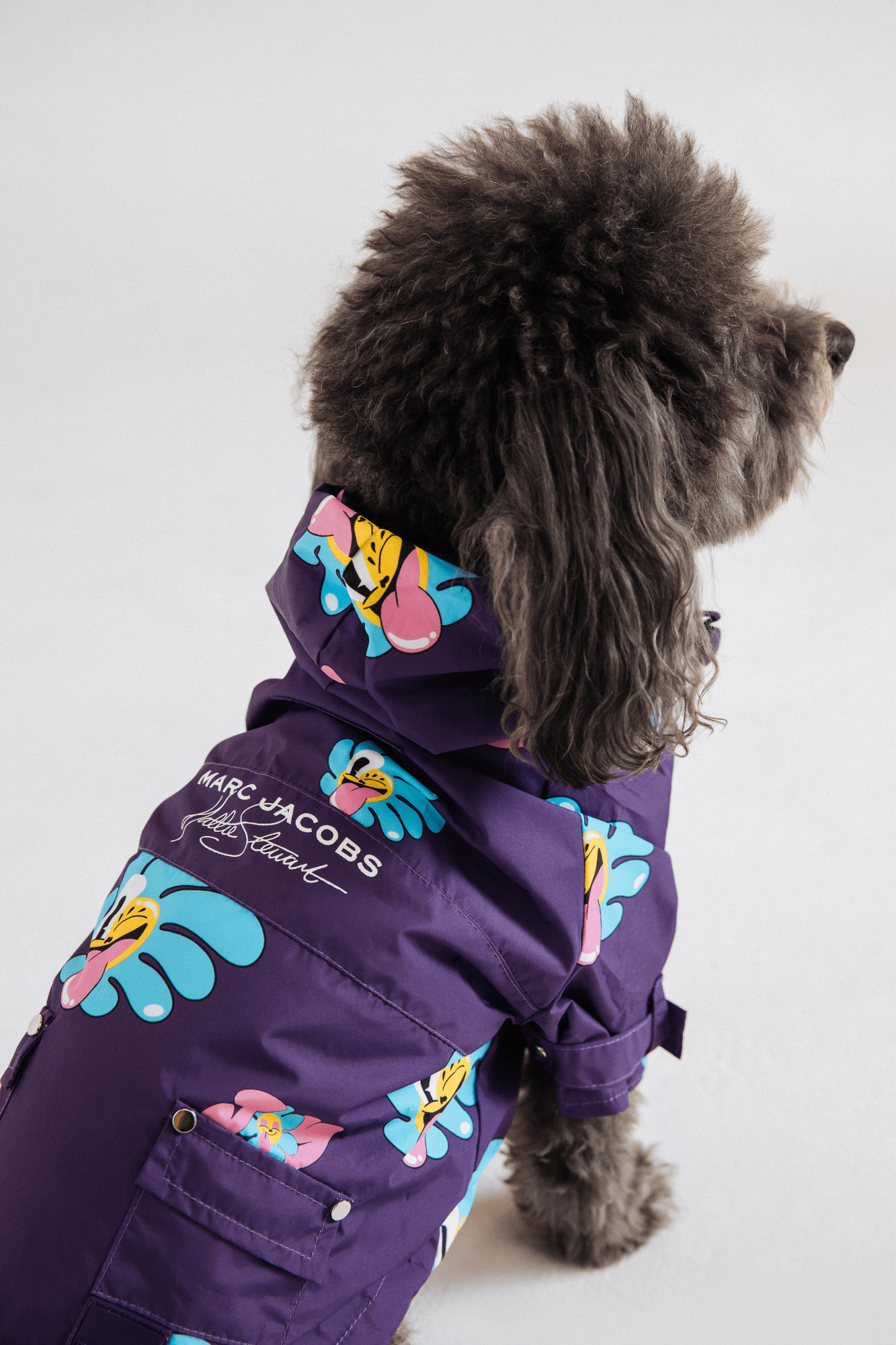 maxbone - Marc Jacobs x Hattie Stewart Raincoat Image