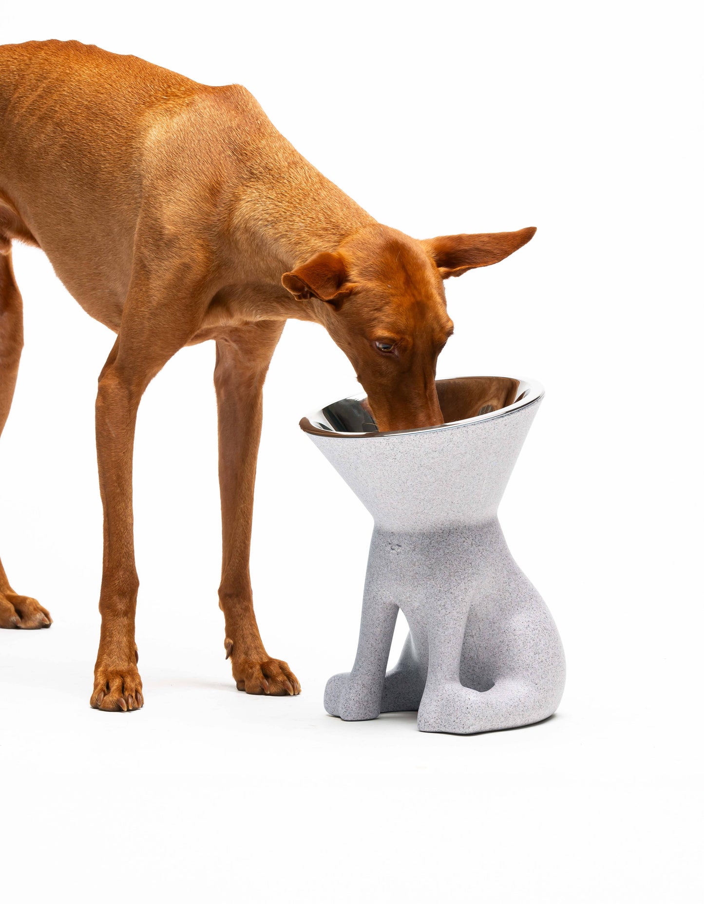 United Pets - Elizabeth: raised dog bowl