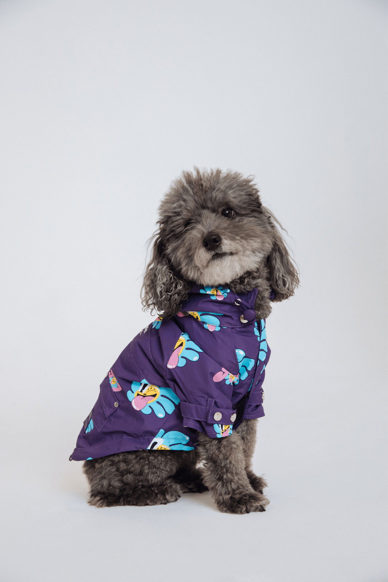 maxbone - Marc Jacobs x Hattie Stewart Raincoat Image