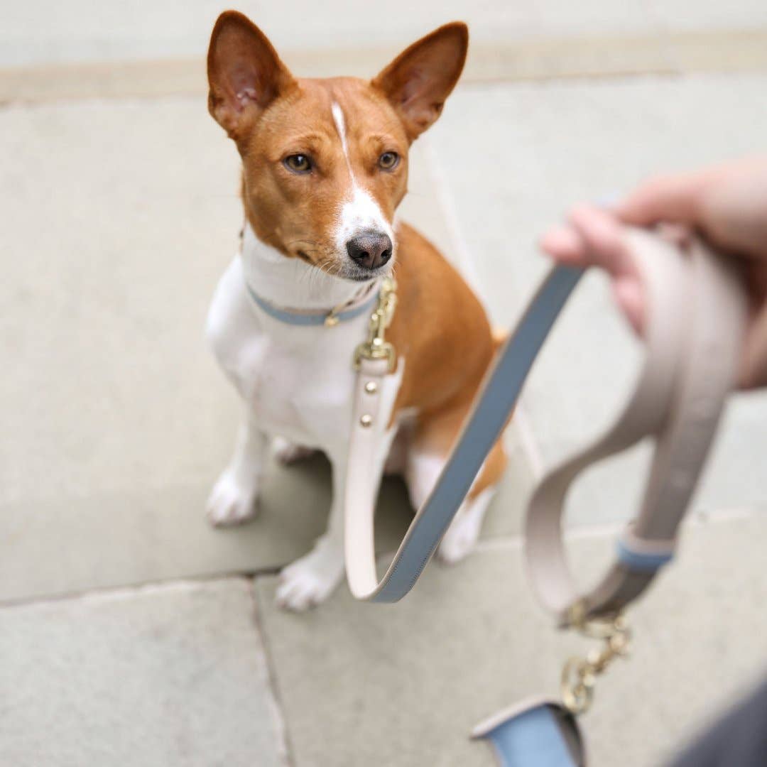 Nina Woof - Leash 4ft - Vegan Leather - Cupertino Image