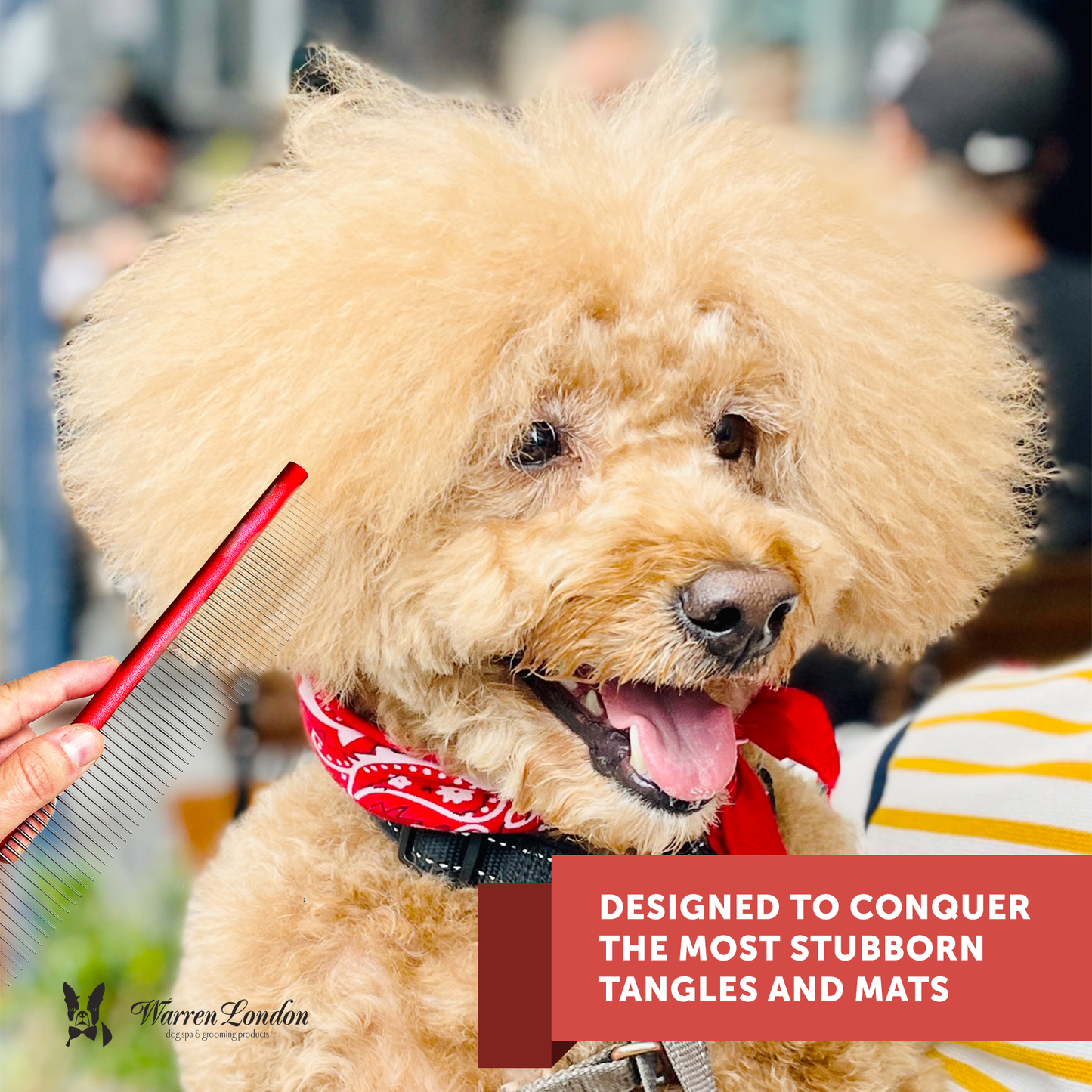 Warren London Dog Products - Detangling Comb for Dogs - 10" Strong and Durable Grooming Image