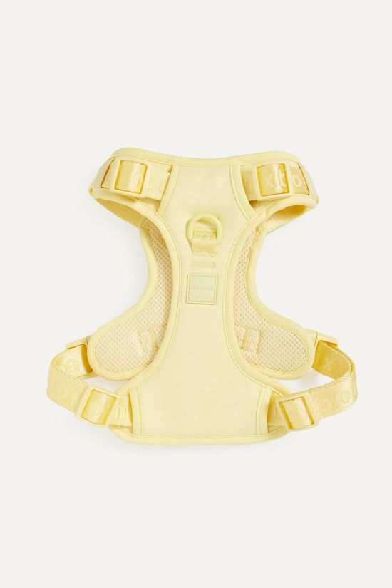 maxbone - Easy Fit Dog Harness Image