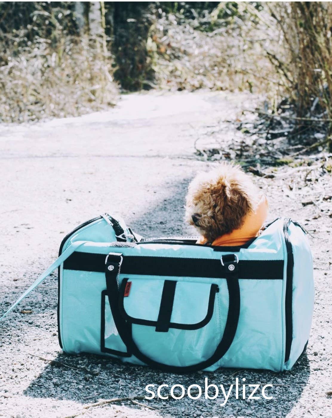 Prefer Pets Travel Gear - Hideaway Duffel - Aqua Image