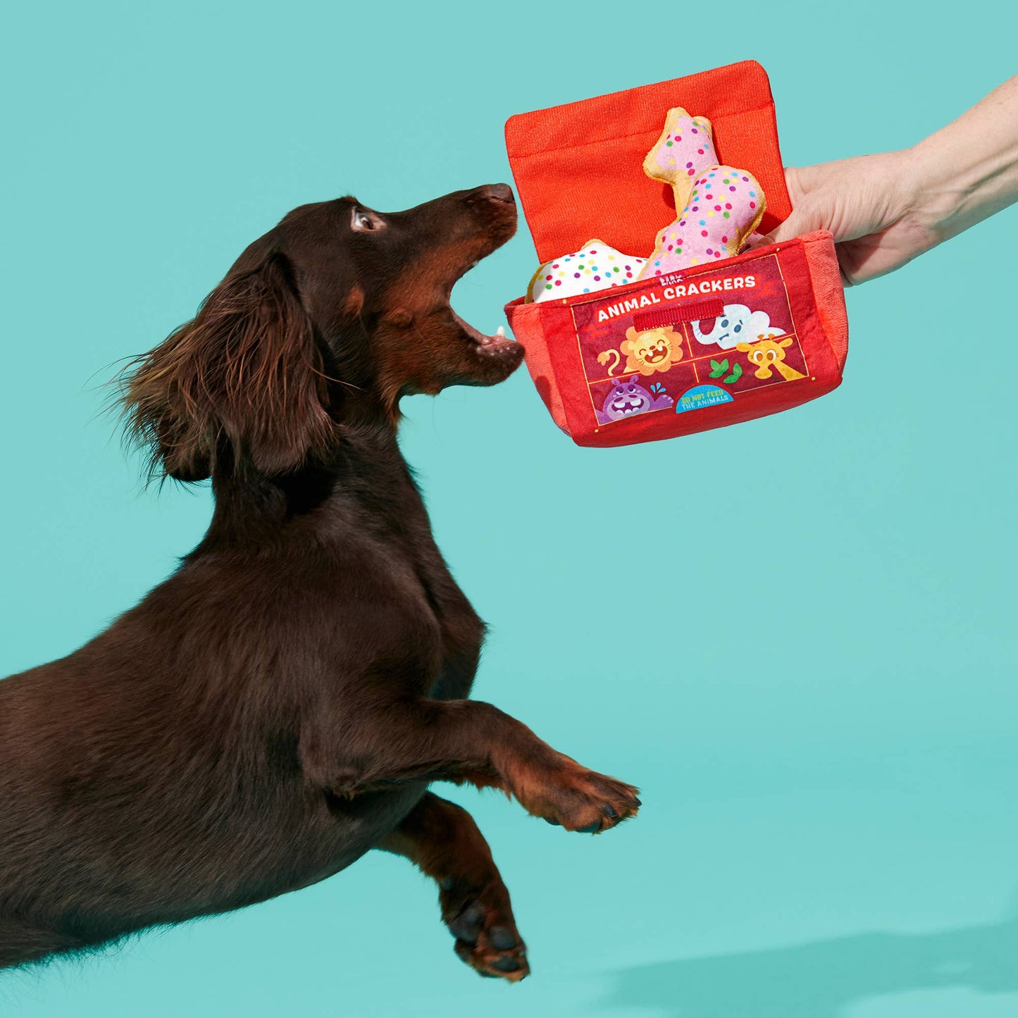 BARK Animal Squeakers Snacks Plush Dog Toy XS/S Image