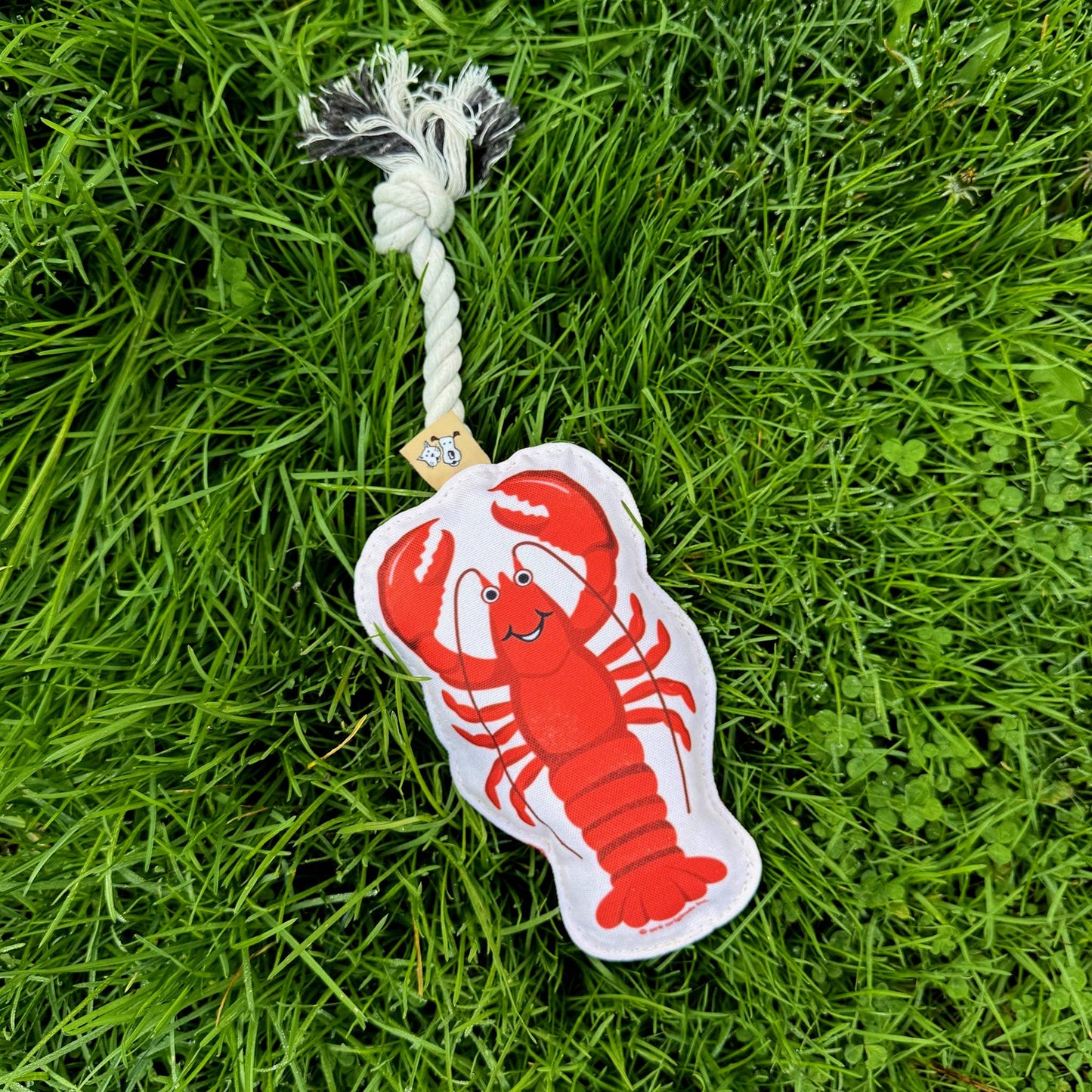 Speckle and Spot by Ore’ Originals - Rope Dog Toy | Lobster Image
