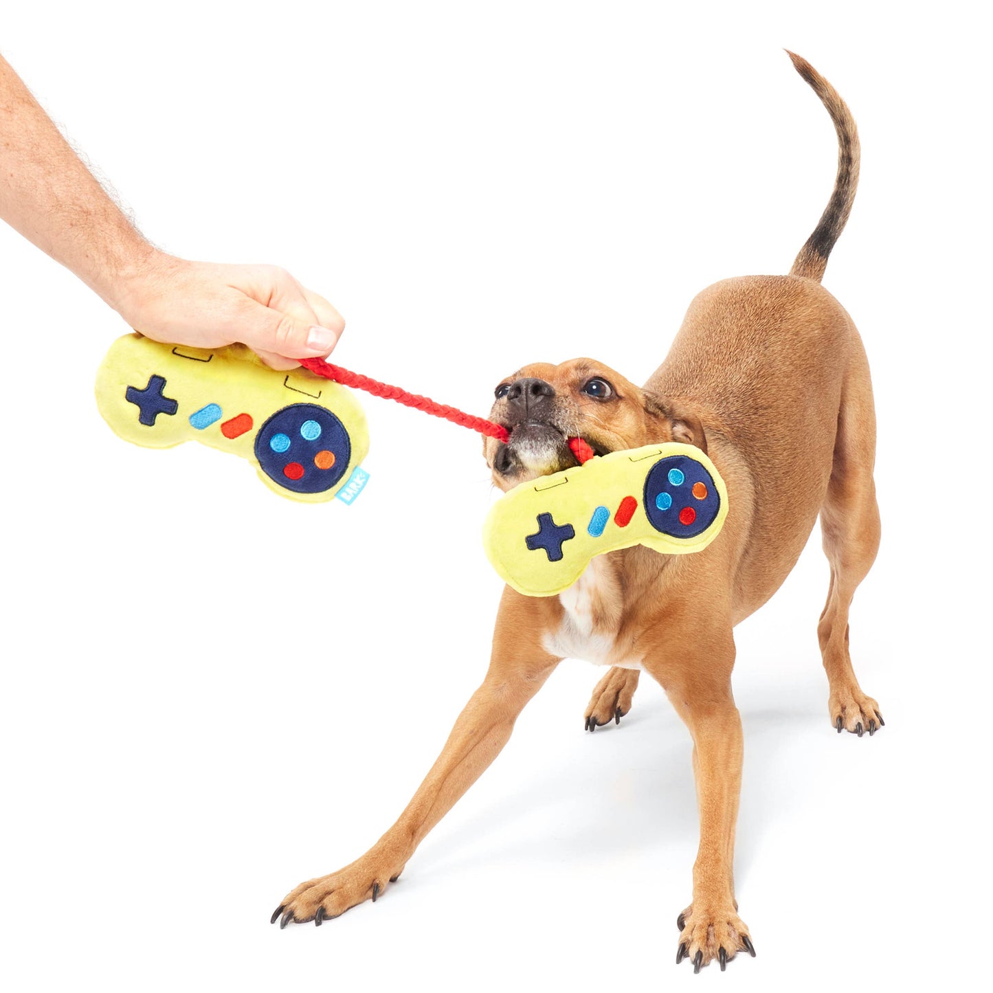 Pet Palette Distribution - BARK Ate-Bit Tug Plush Dog Toy S/M Image