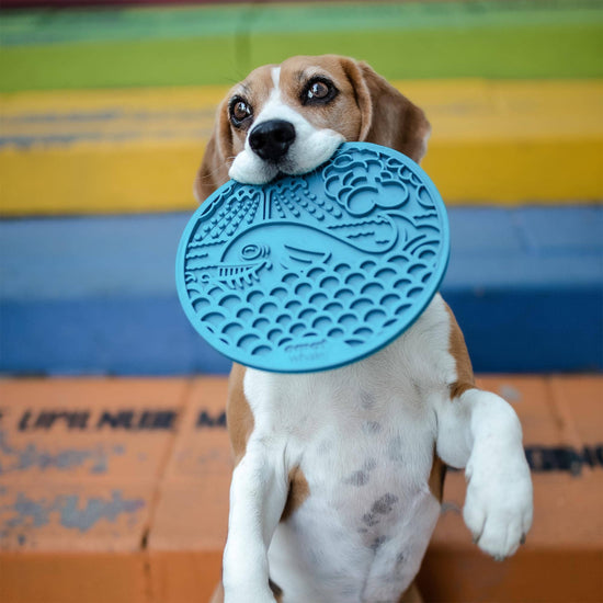 SodaPup Dog Toys - Whale Design eMat Enrichment Lick Mat With Suction Cups Image