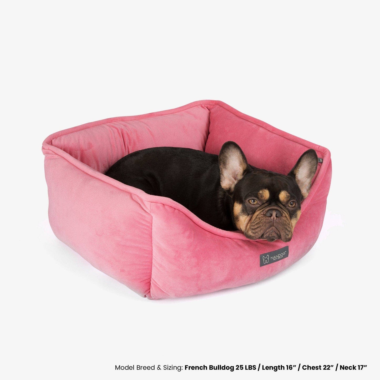 Nandog Pet Gear - Signature Bed in Electric Pink Image