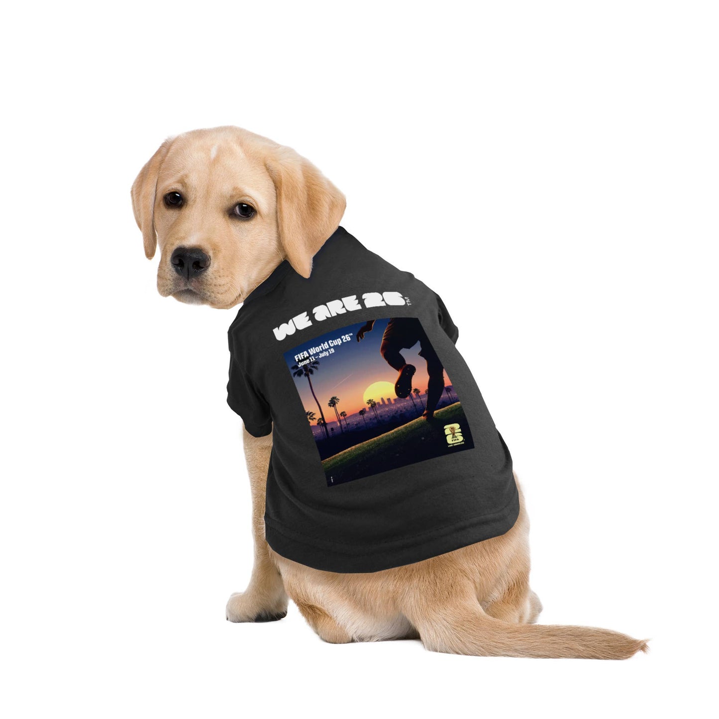 Little Earth Productions - 2026 FIFA World Cup Host City Pet T-Shirt Image