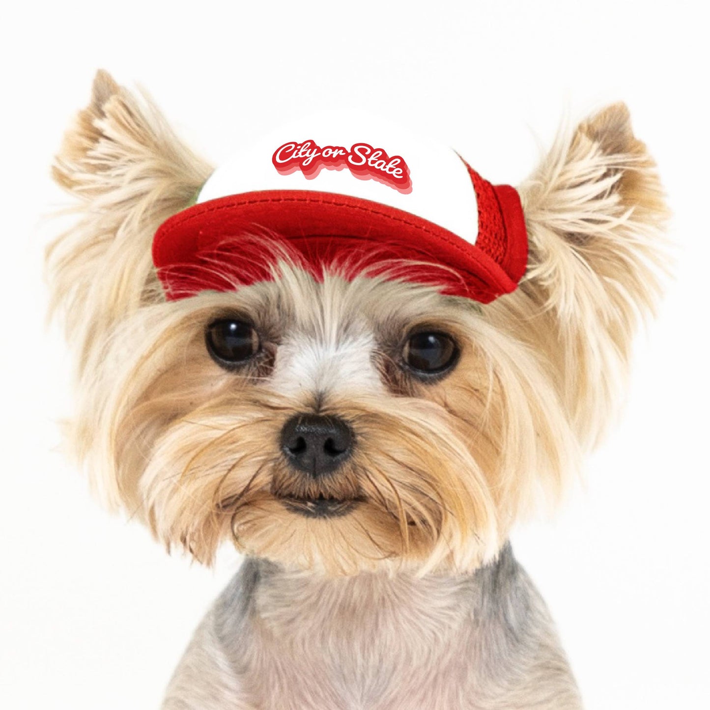 PupLid - Custom Retro Text | Trucker Hat for Dogs Image