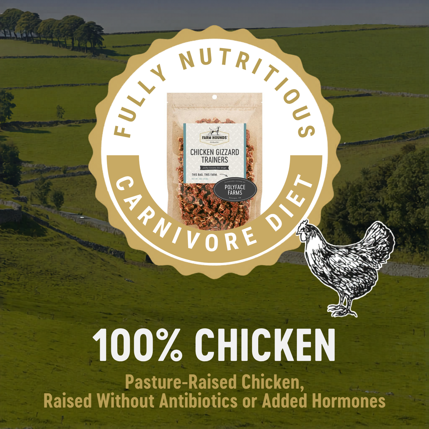Farm Hounds - Chicken Gizzard Trainer - All-Natural Dog Treats - 4oz Image
