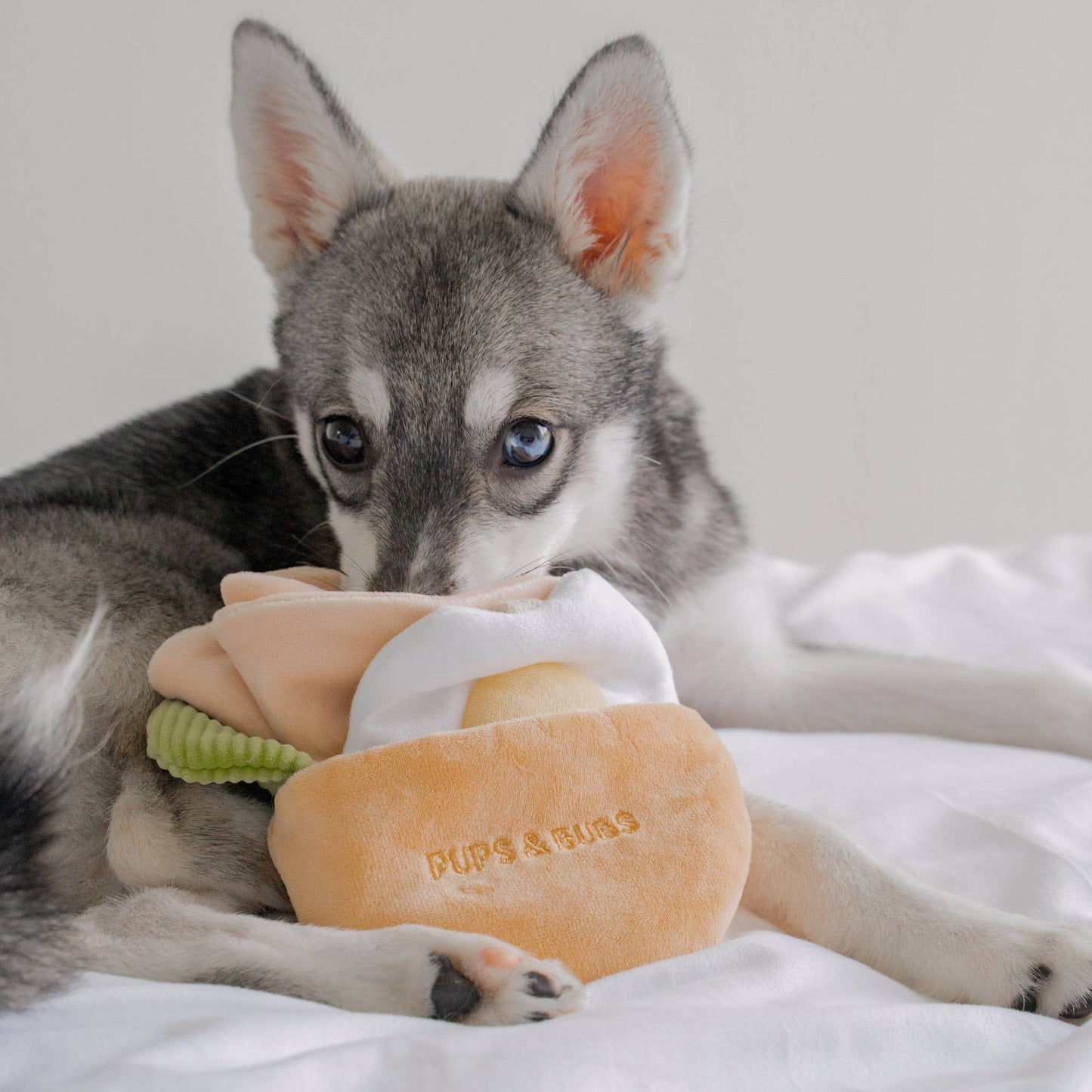 Pups & Bubs - Pita Pocket Nosework Toy Image