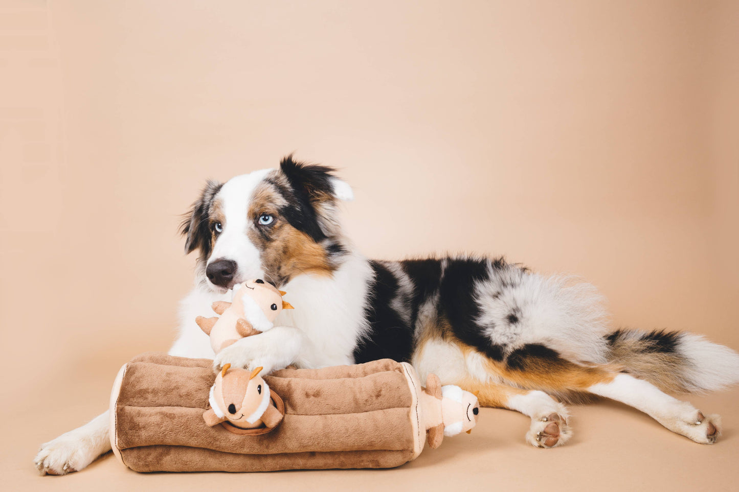 Pet Palette Distribution - ZippyPaws Zippy Burrow Log