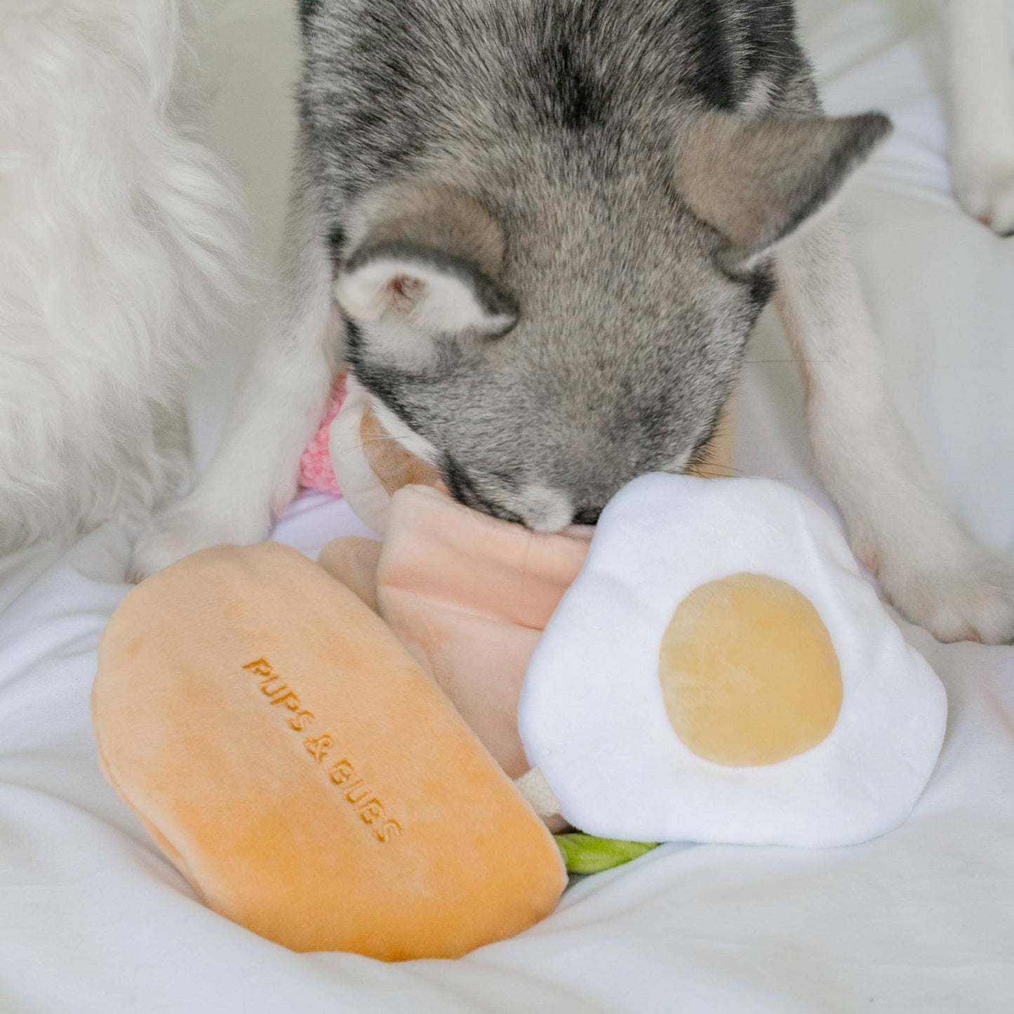 Pups & Bubs - Pita Pocket Nosework Toy Image