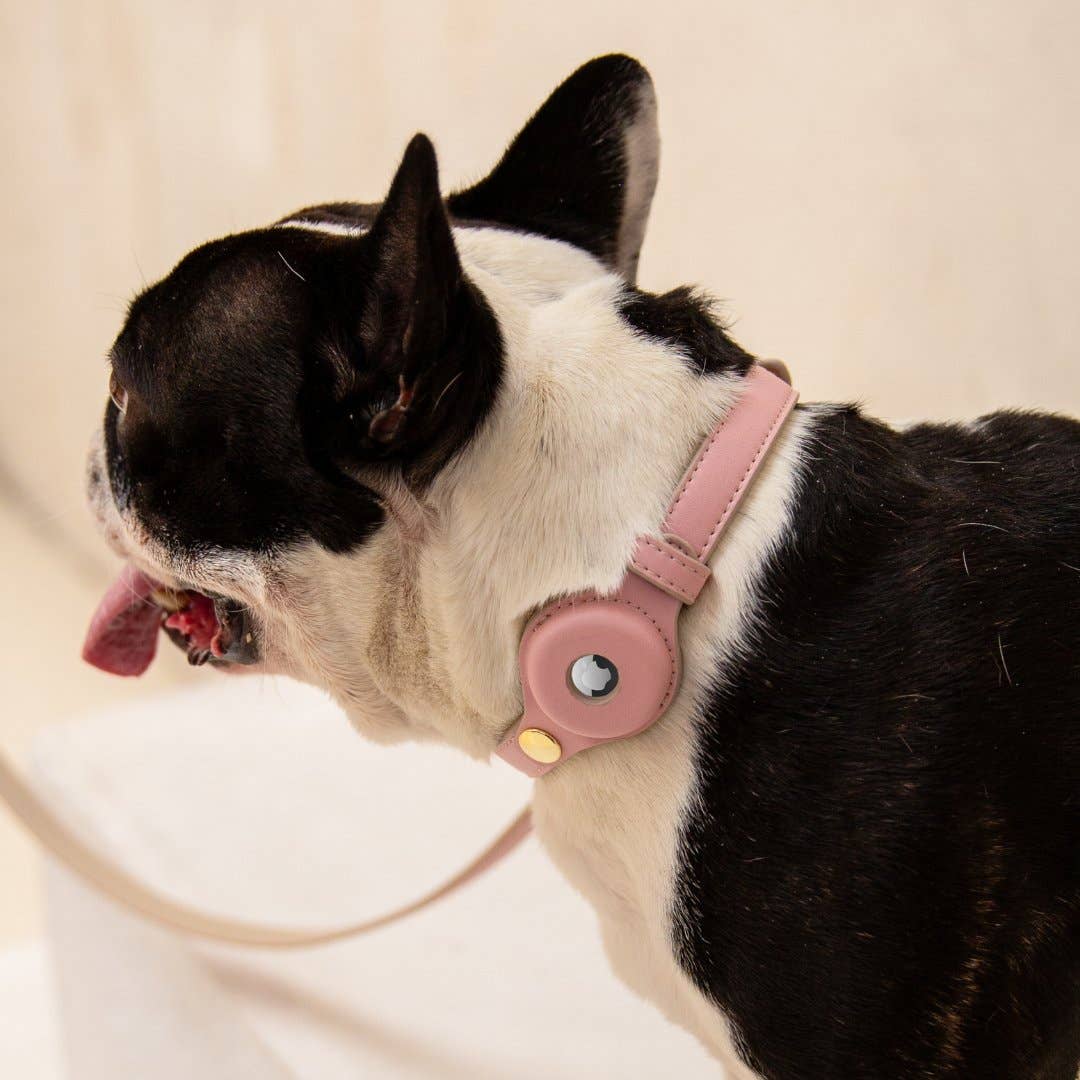 Nina Woof - Collar - Air Tag Enabled - Vegan Leather - Cupertino Image
