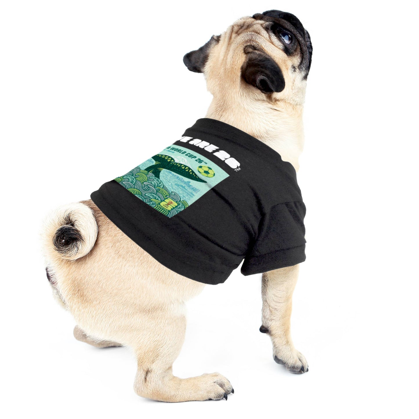 Little Earth Productions - 2026 FIFA World Cup Host City Pet T-Shirt