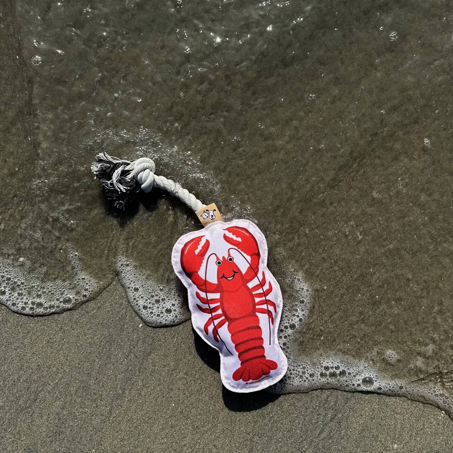 Speckle and Spot by Ore’ Originals - Rope Dog Toy | Lobster Image